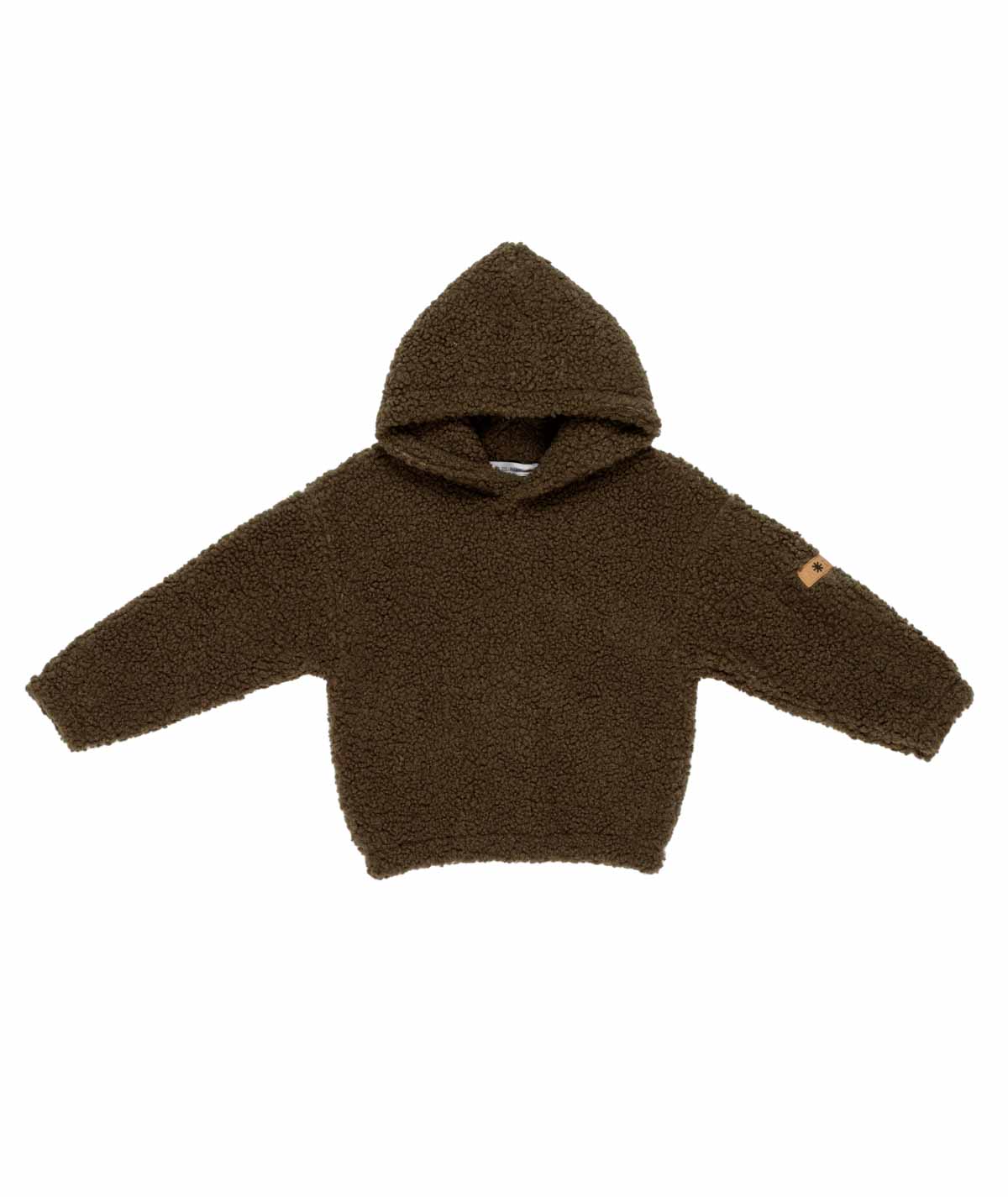 Boy Hooded Teddy Sweatshirt