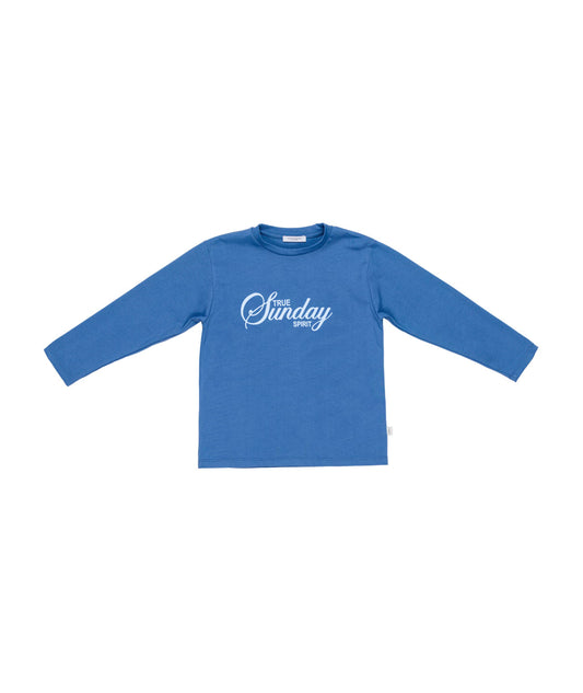 Boy Long Sleeve T-Shirt Grey / 8Y